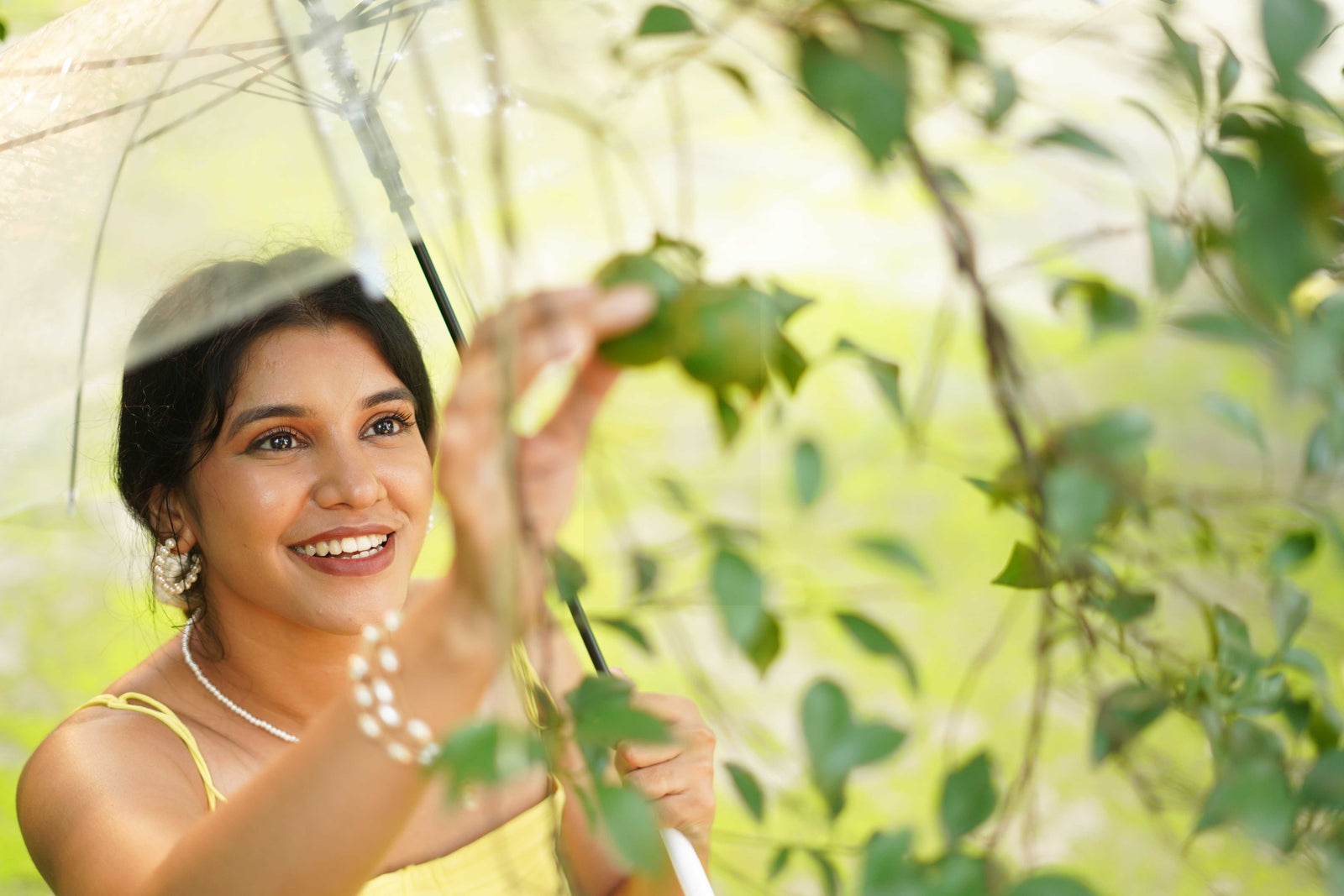 KEYLIME extra image left