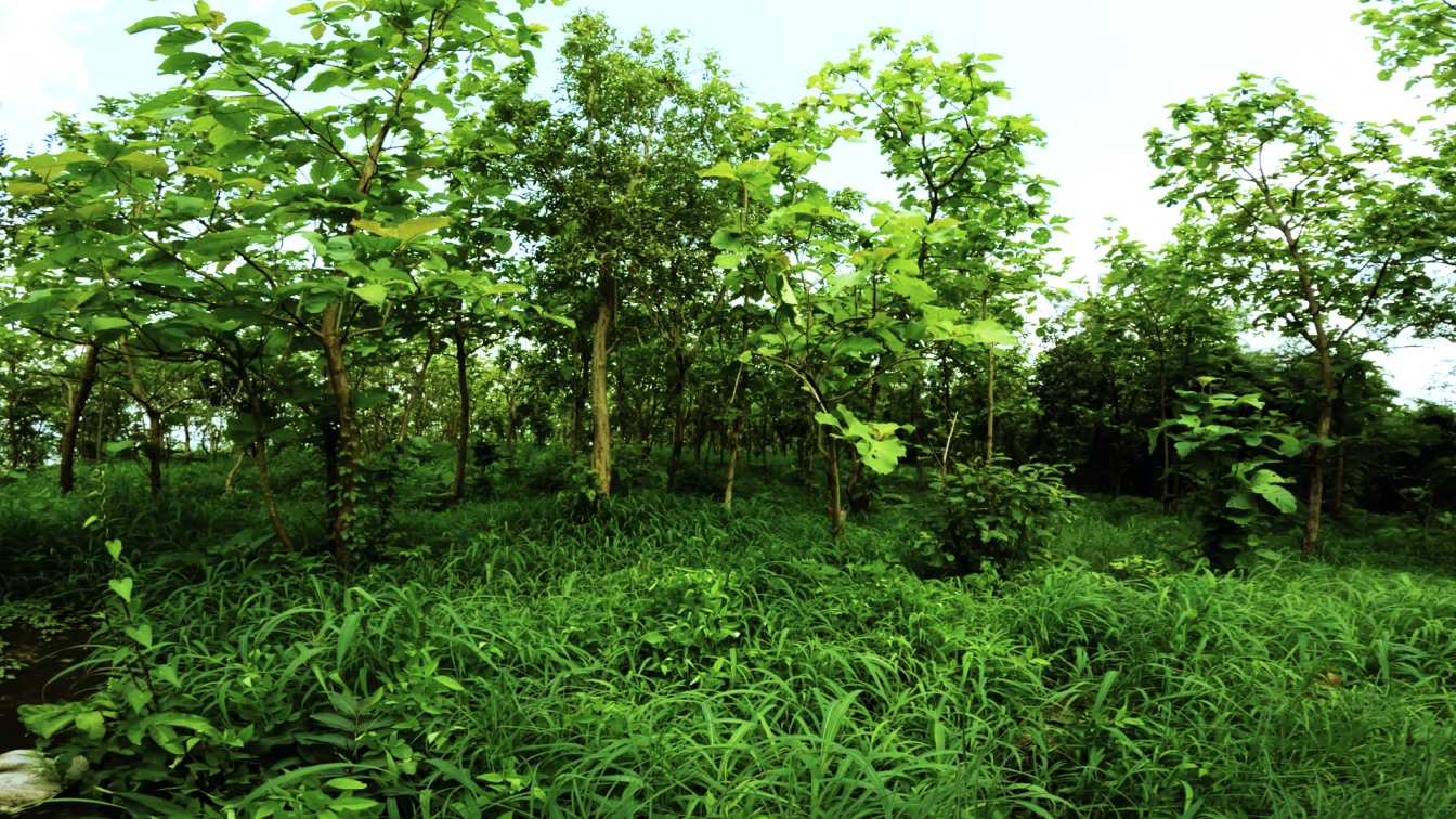 TRANQUIL extra image left