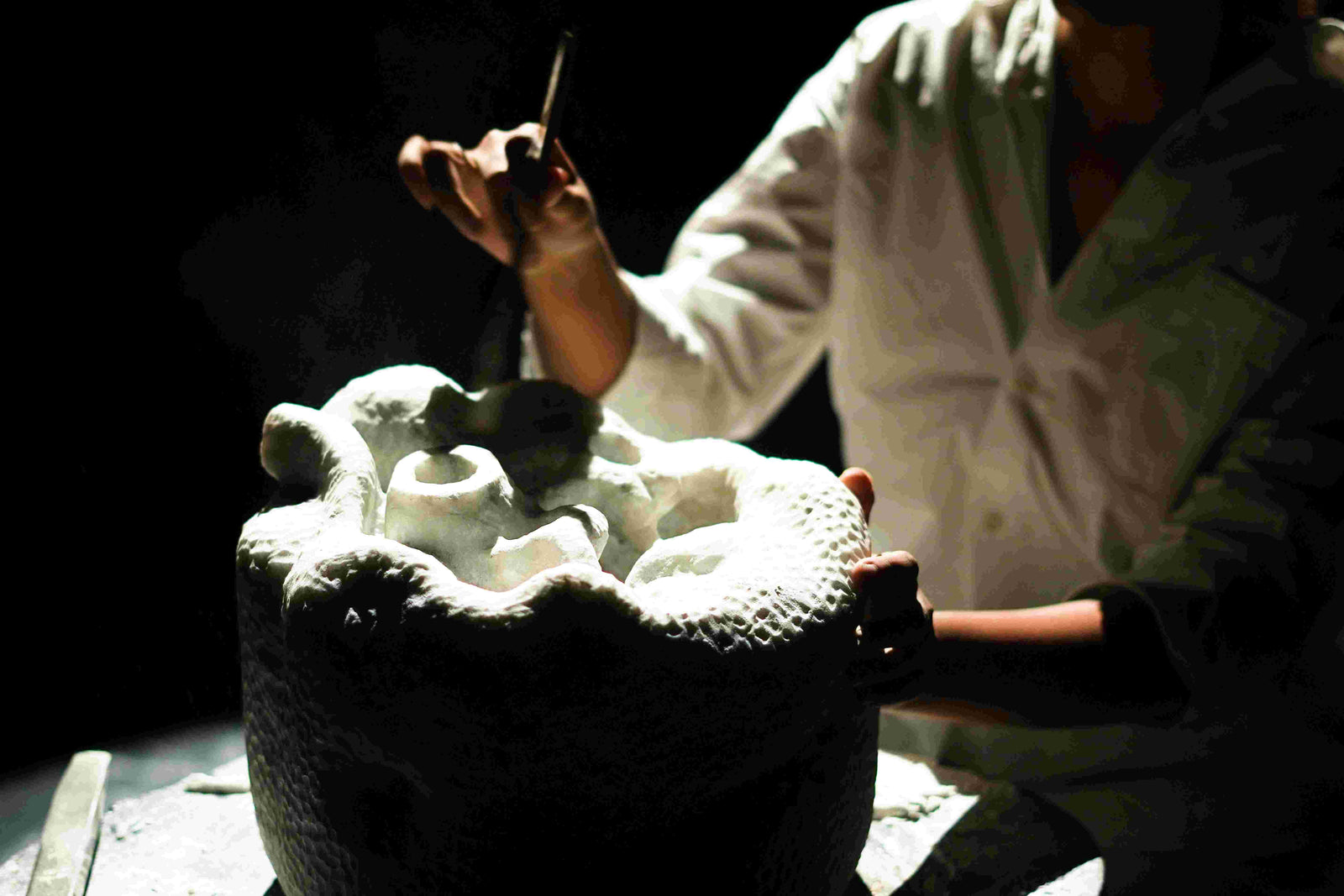 ARTEMIS extra image left